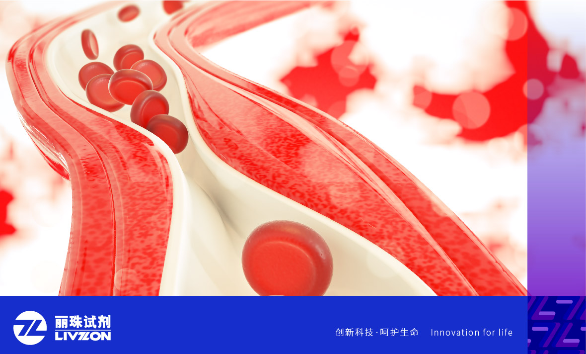 麗科普丨抗磷脂抗體陽(yáng)性能診斷為「 抗磷脂綜合征 」嗎？