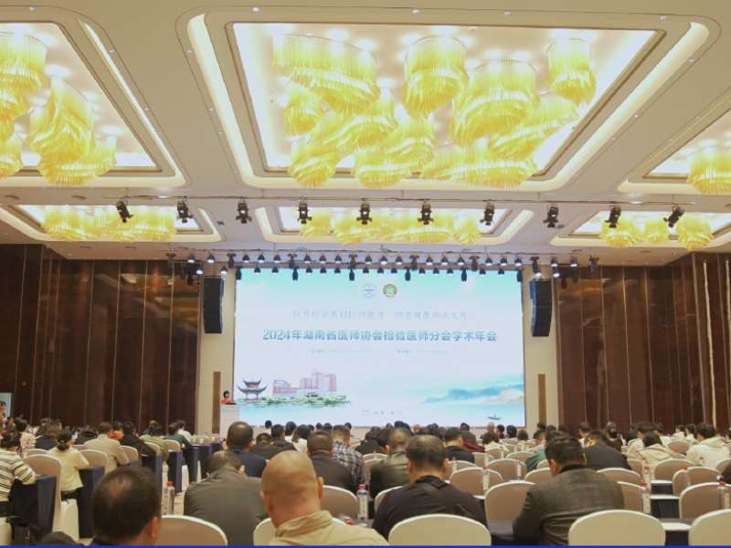 會議回顧丨精彩紛呈，麗珠試劑亮相2024年湖南省醫(yī)師協會檢驗醫(yī)師分會學術年會